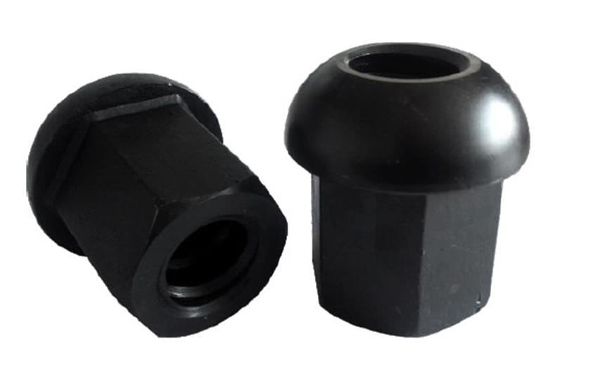 Domed NutĢ^ĸ.jpg